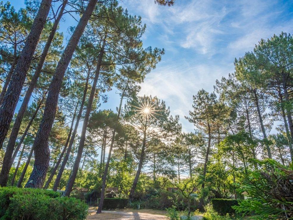 Camping Ares Holiday home *