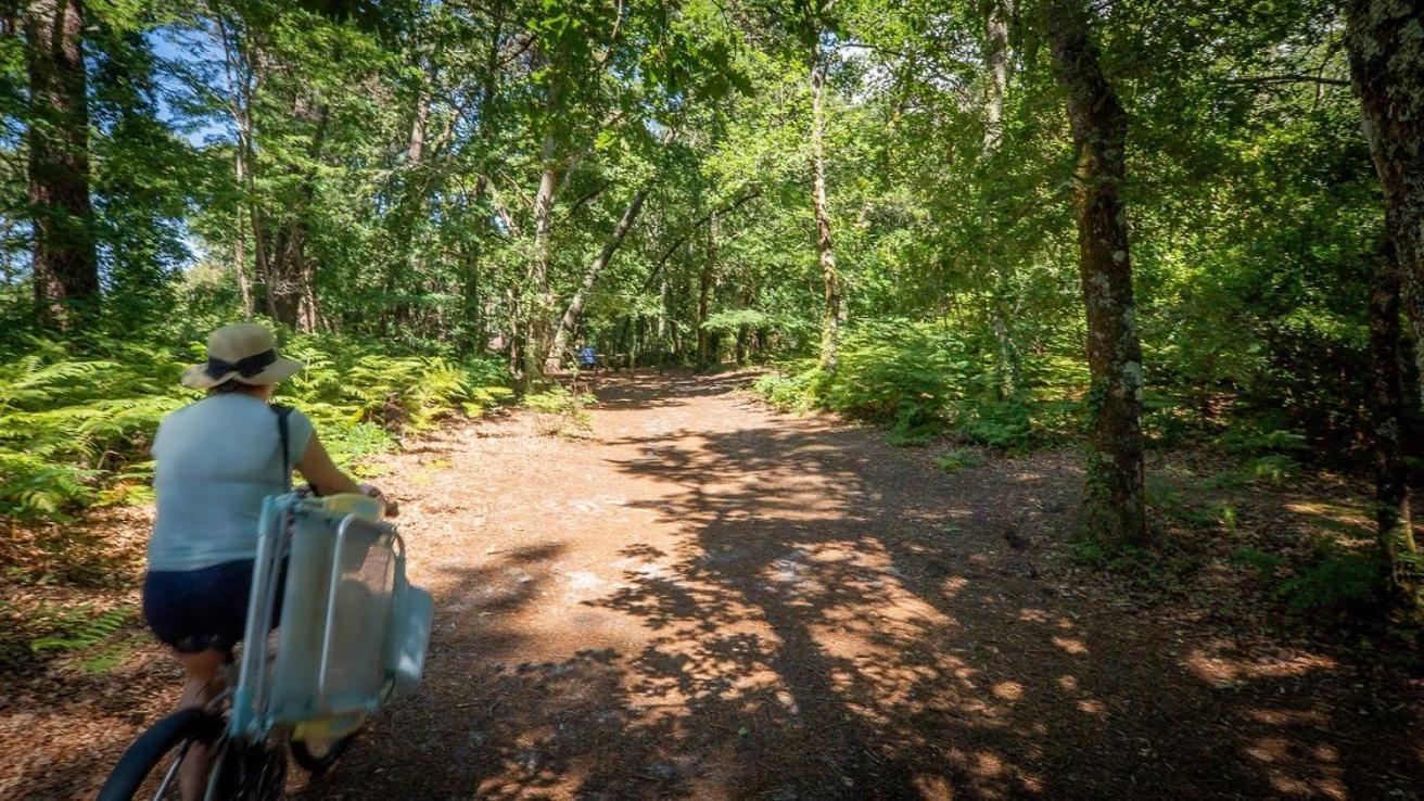 Camping Ares Ares